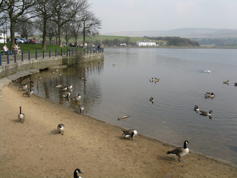 Dear Auntie Sue: My neighbour supports a wealth tax and now I can’t sleep