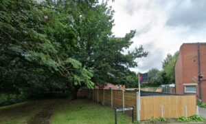 Rochdale Council sides with ancient oak tree in tense standoff with driveway enthusiast